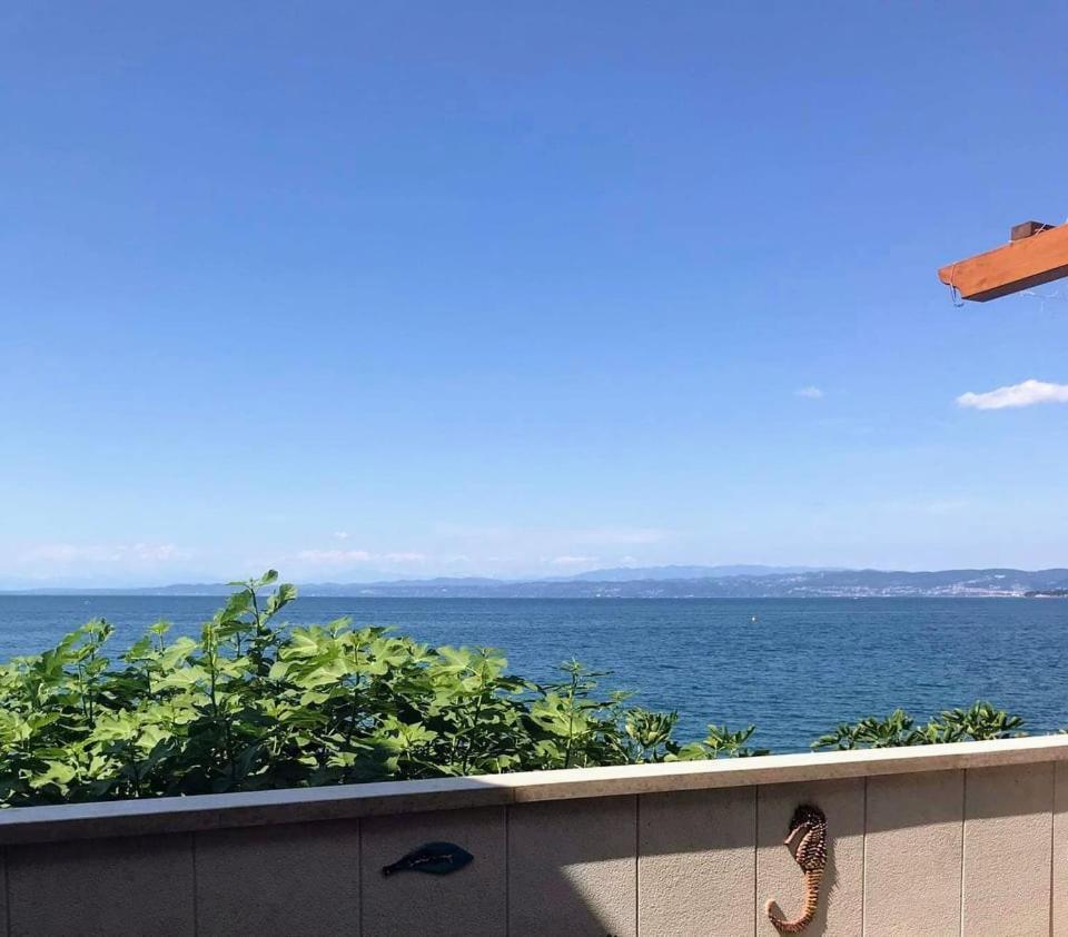 Apartmaji Pri Bosi Nogi Izola Luaran gambar